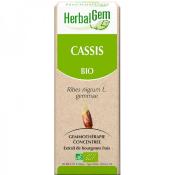 Cassis bio gemmothérapie bourgeon 30 ml - Herbalgem