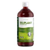 Silicium siliplant G7 formule du docteur Loïc Le Ribault