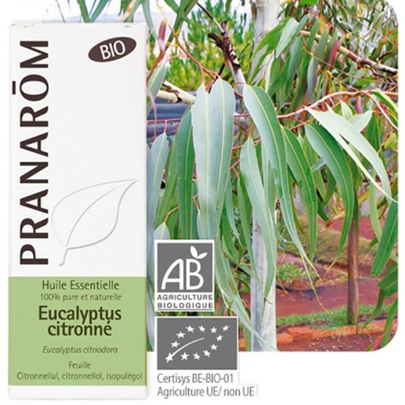 Huile Essentielle Eucalyptus Citronné Bio* 100% Pure & Naturelle